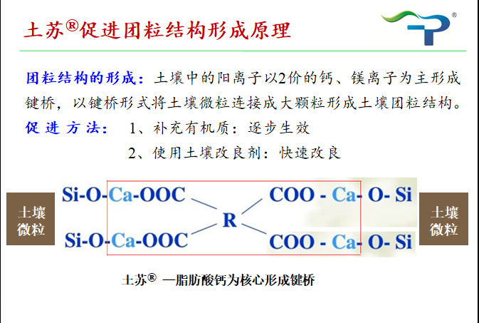 1555990610116301PDds.png 圖片2.png